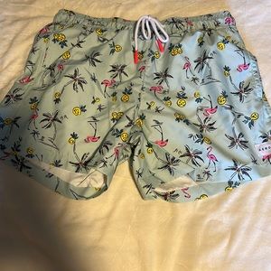 Aero swimsuit/shorts